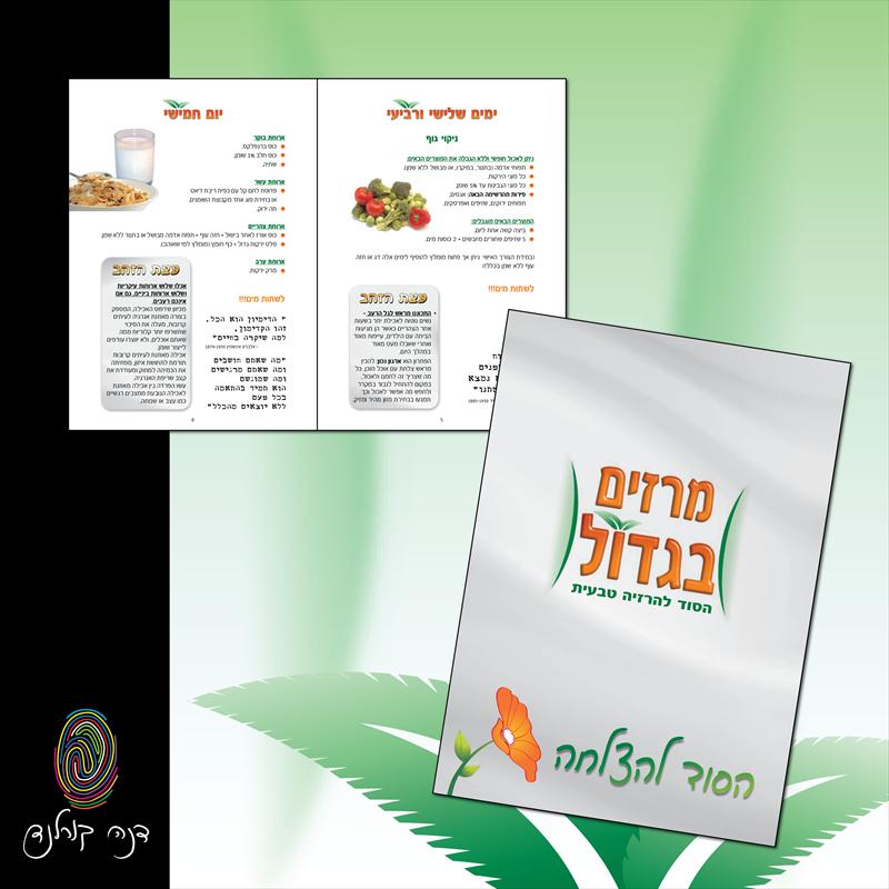 מרזים בגדול - חוברת