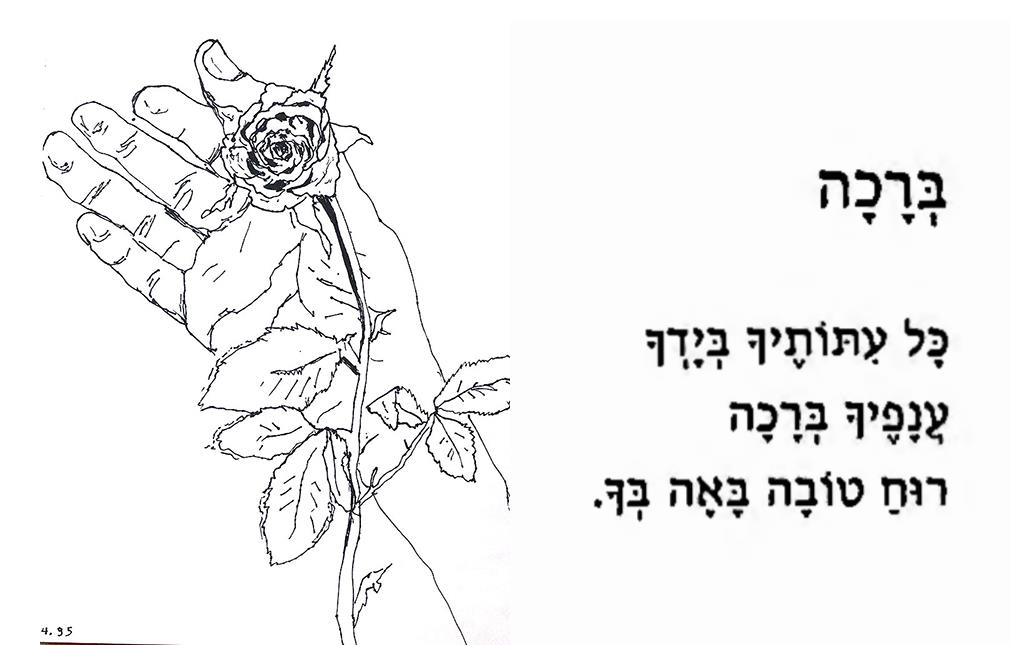 רפי פרץ רישום יד רישומי ידיים דיו על נייר סמדר שרת יוצרות ישראליות מודרניות עכשוויות יצירה