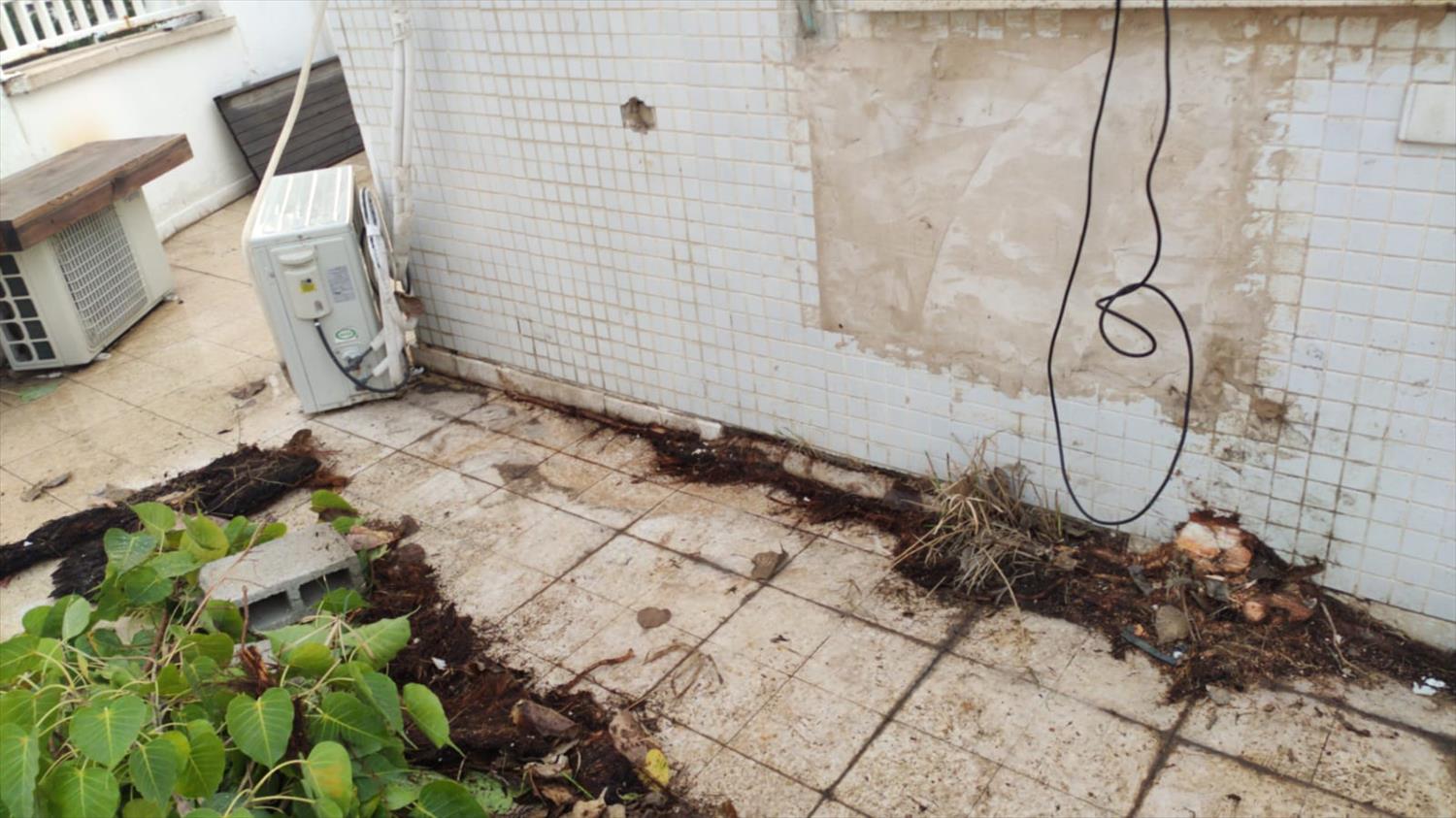 שיפוץ דירה תיקוני נזילות וצביעה באמצעות איירלס