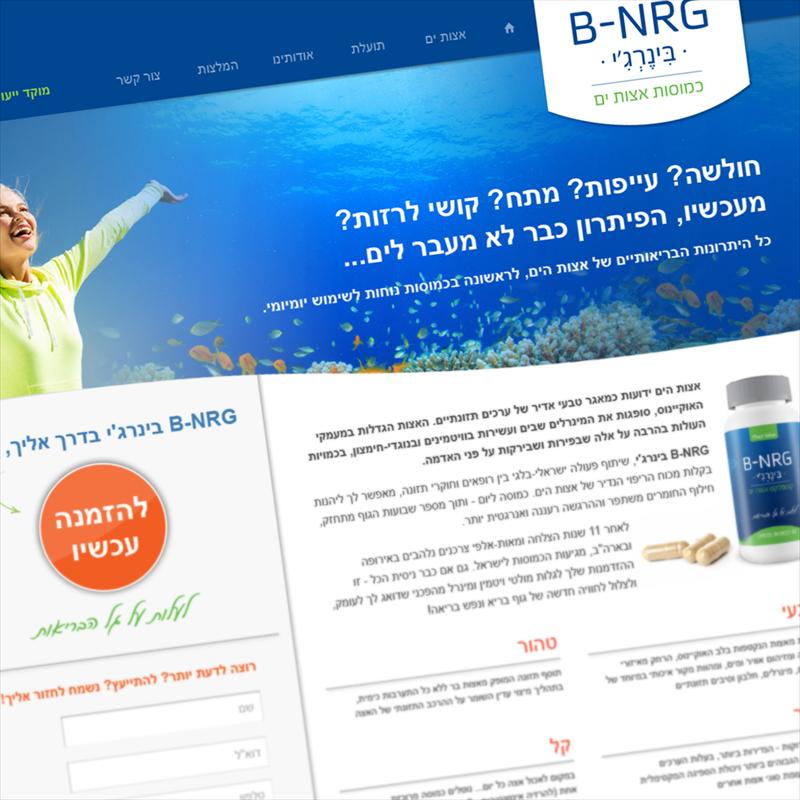 אתר לחברת בינרג'