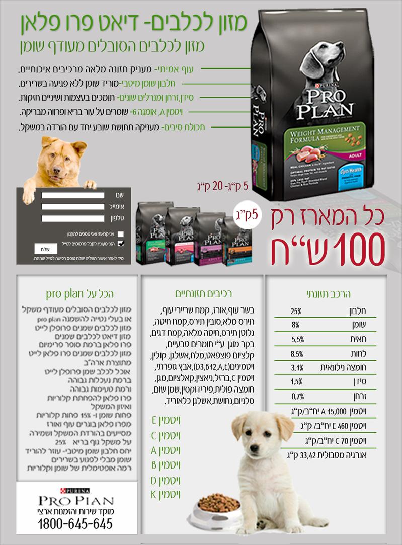 דף נחיתה