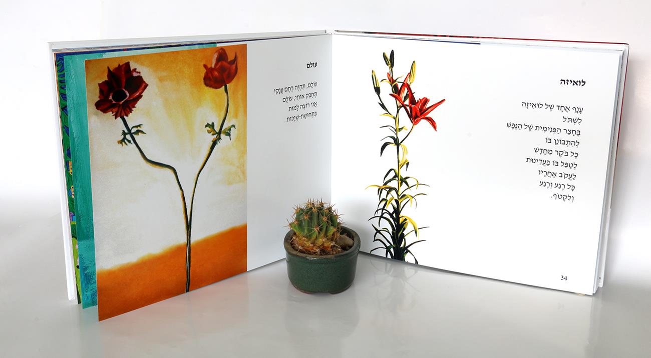 ציור פרחים ציורי פרח ספר אמן רפי פרץ ספרי אמנות ישראלית שירים סמדר שרת ציורים צבעוניים האמנות הצייר