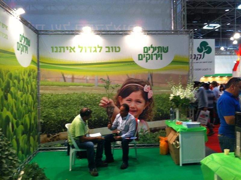 ביתם שטילים ירוקים