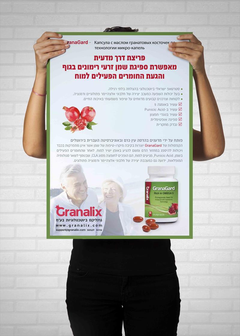 פלייר למוצר