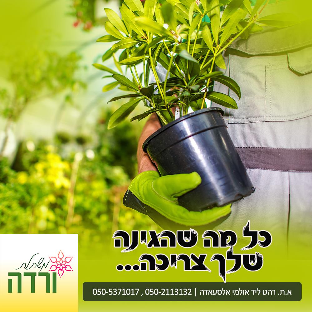 ורד שפירא- עיצוב פוסט