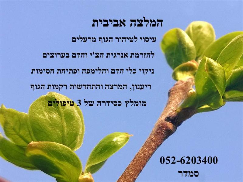 "חכמת הריפוי הפנימית- רפואה סינית"
