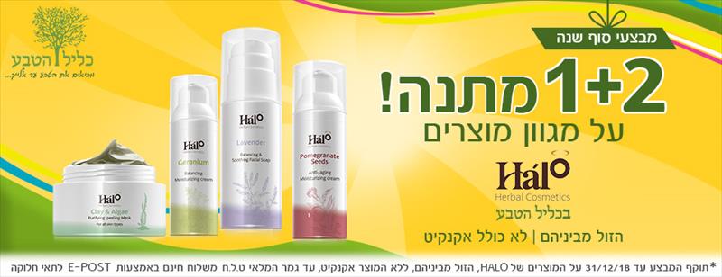 עיצוב לניוזלטר