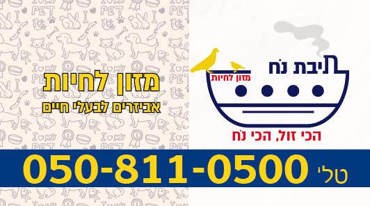מגנט