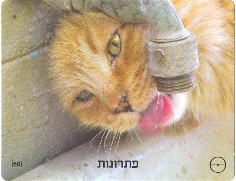 חידה