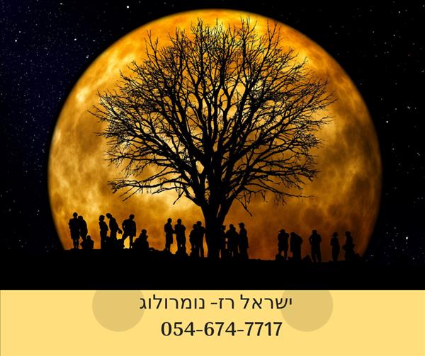 יעוץ נומרולוגי ע"י ישראל רוזבסקי-רז