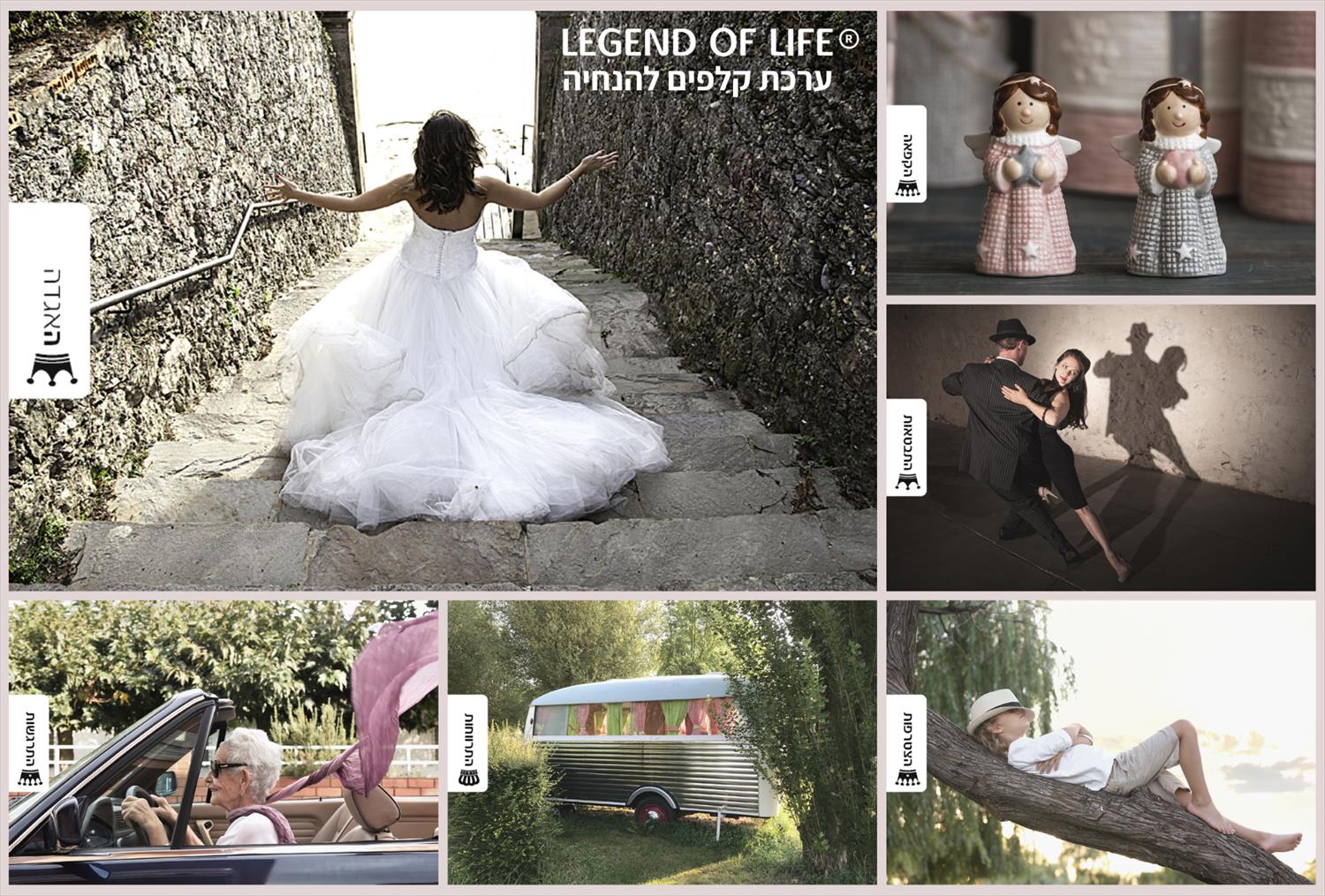 קלפים Legend of Life