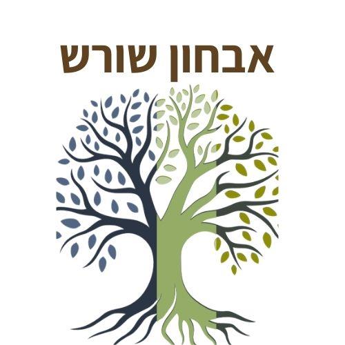 מפגש עוגן ראשון - אבחון שורש