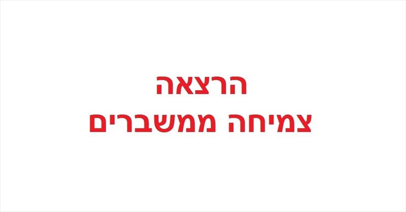 הרצאה - צמיחה ממשברים