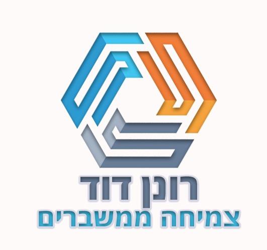 השתתפות בהרצאת - קללה או מתנה ?!