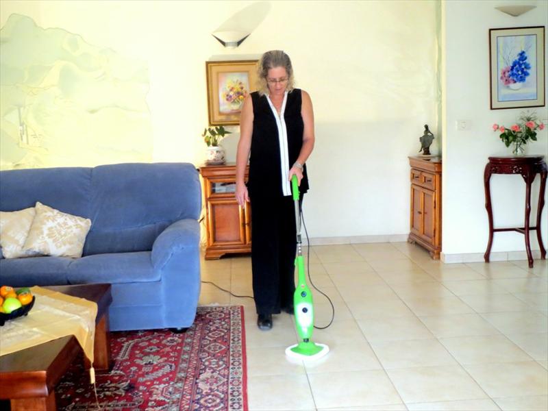 X5 Steam Cleaner