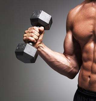 GYMTOGO העלאת מסת הגוף ופיתוח שרירים