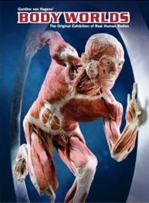 ספר BODIES ותערוכת עולמות הגוף