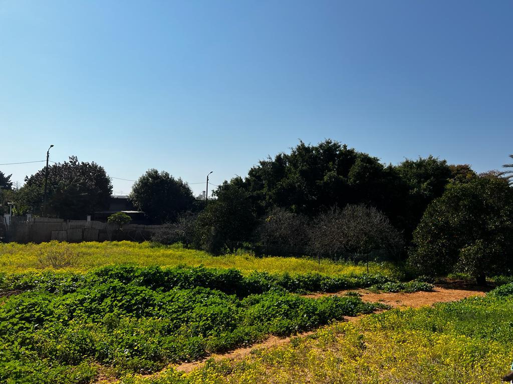 מגרש למכירה בכפר שמריהו