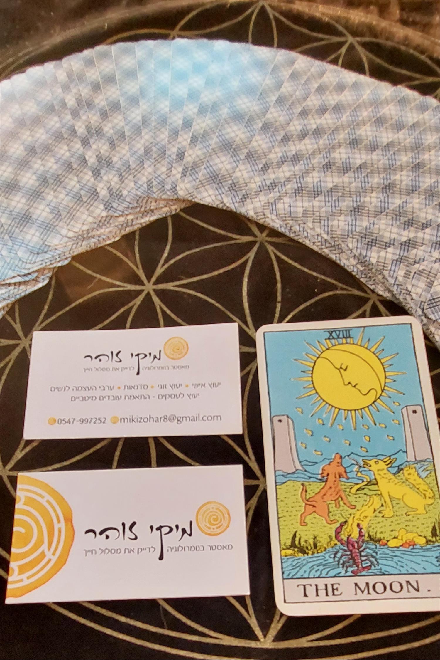 מה אני מציעה
