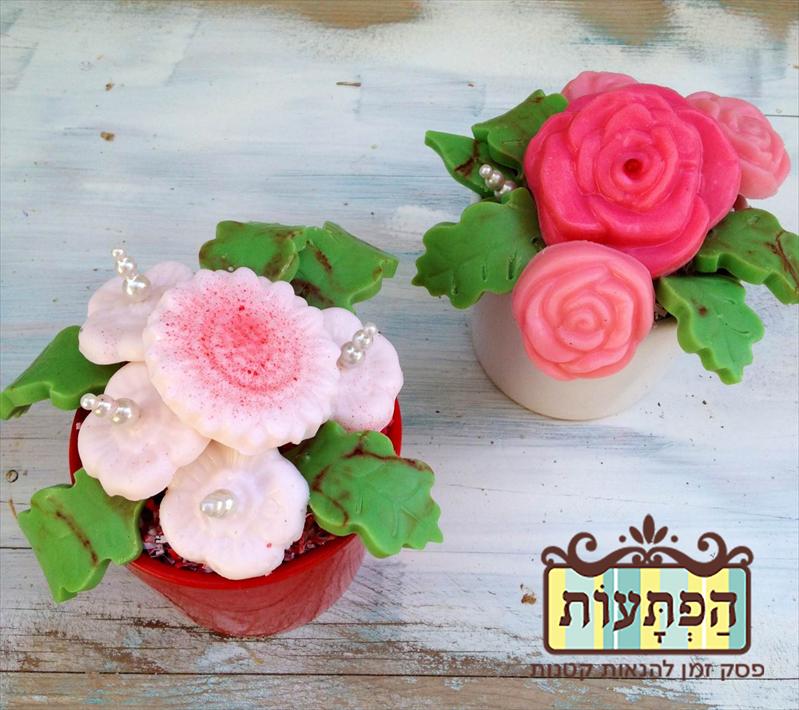 סדנת עציצים פורחים מסבון