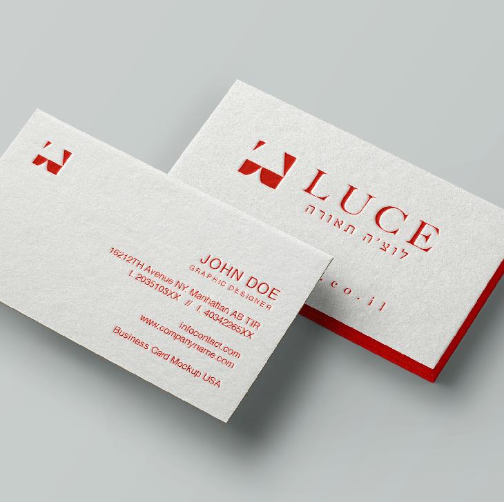 שידרוג חברת LUCE