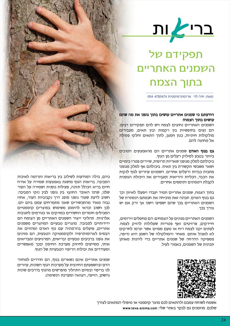 כתבה במגזין - חד פעמי