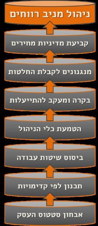 לווי ממוקד לניהול מניב רווחים