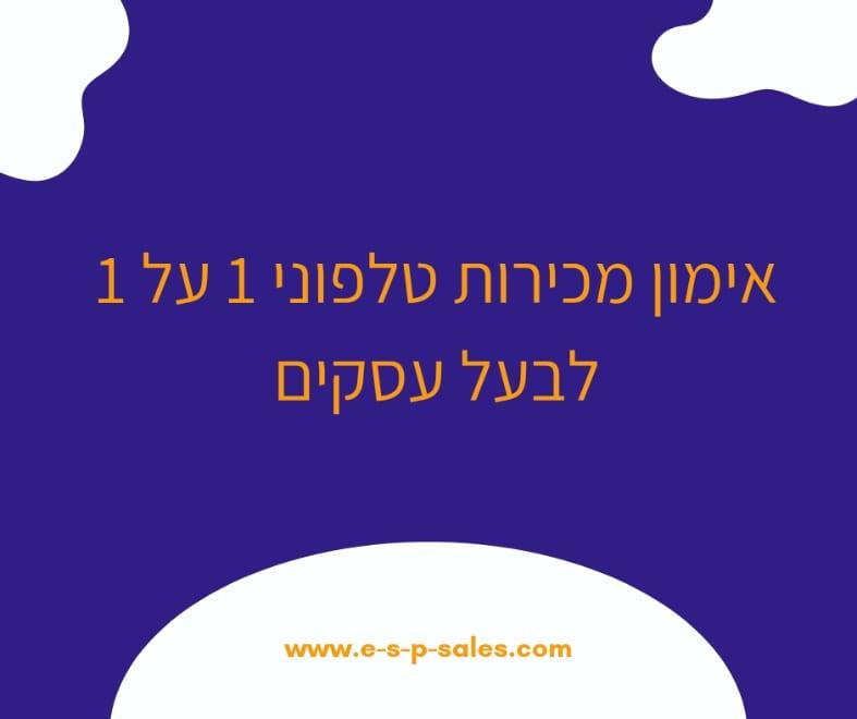 אימון מכירות 1 על 1 לבעלי עסקים