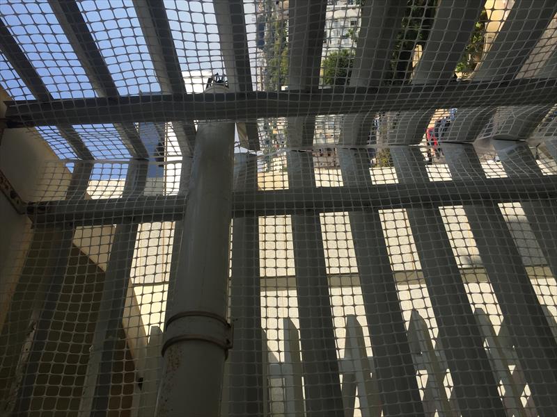 רשת נגד יונים