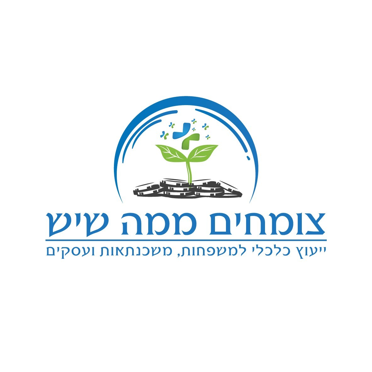 פגישת ייעוץ טרום השקעות