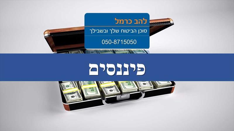 ביטוח פיננסים