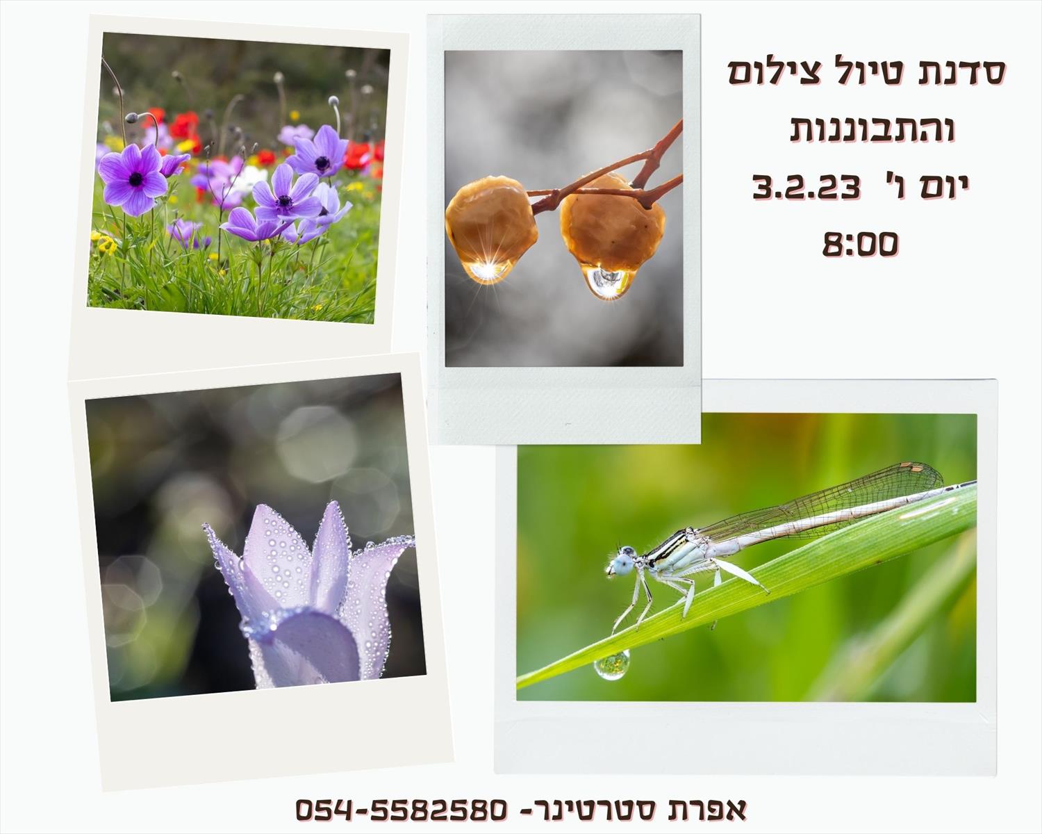 סדנת טיול צילום והתבוננות