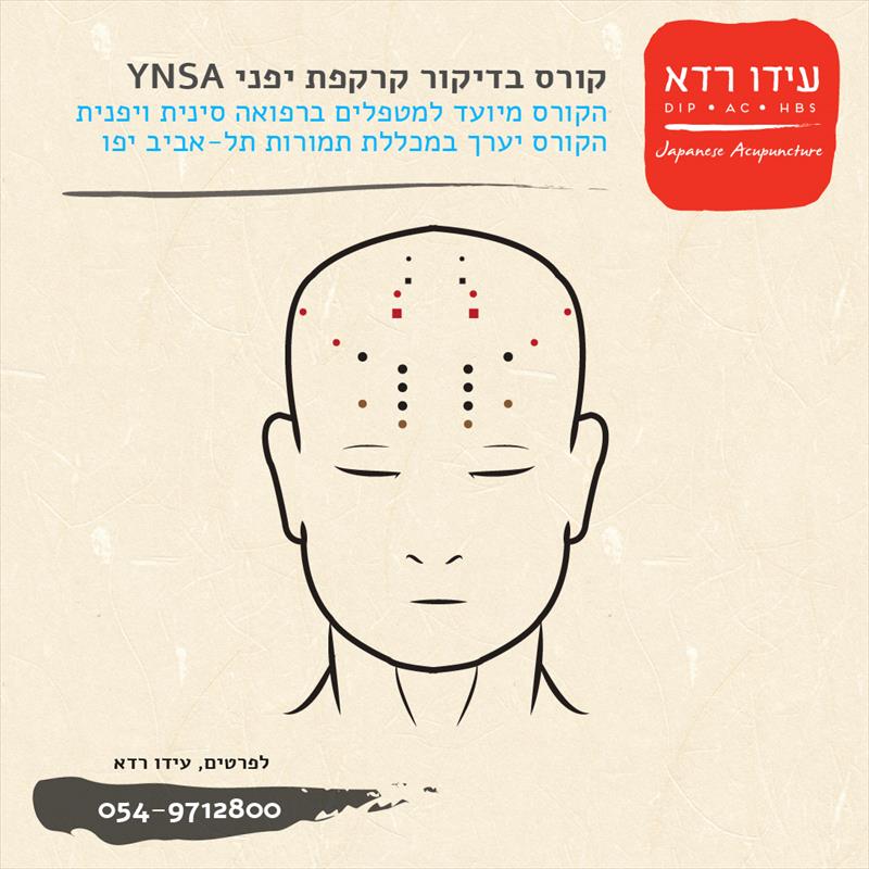 קורס דיקור קרקפת יפני