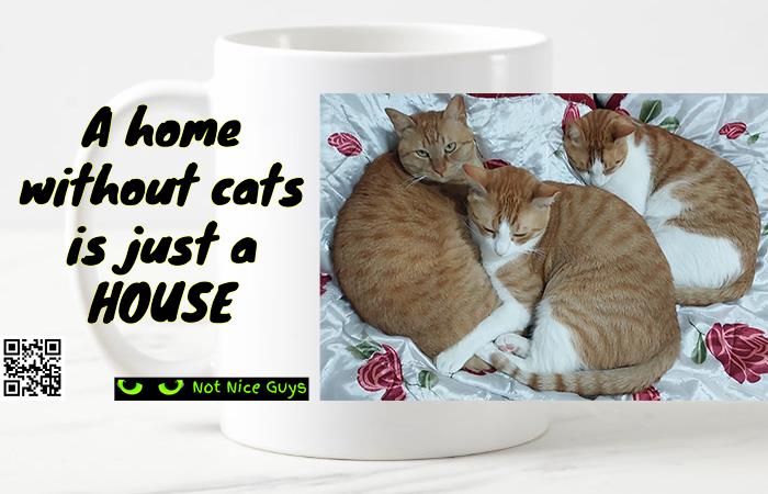A home without cats is just a house