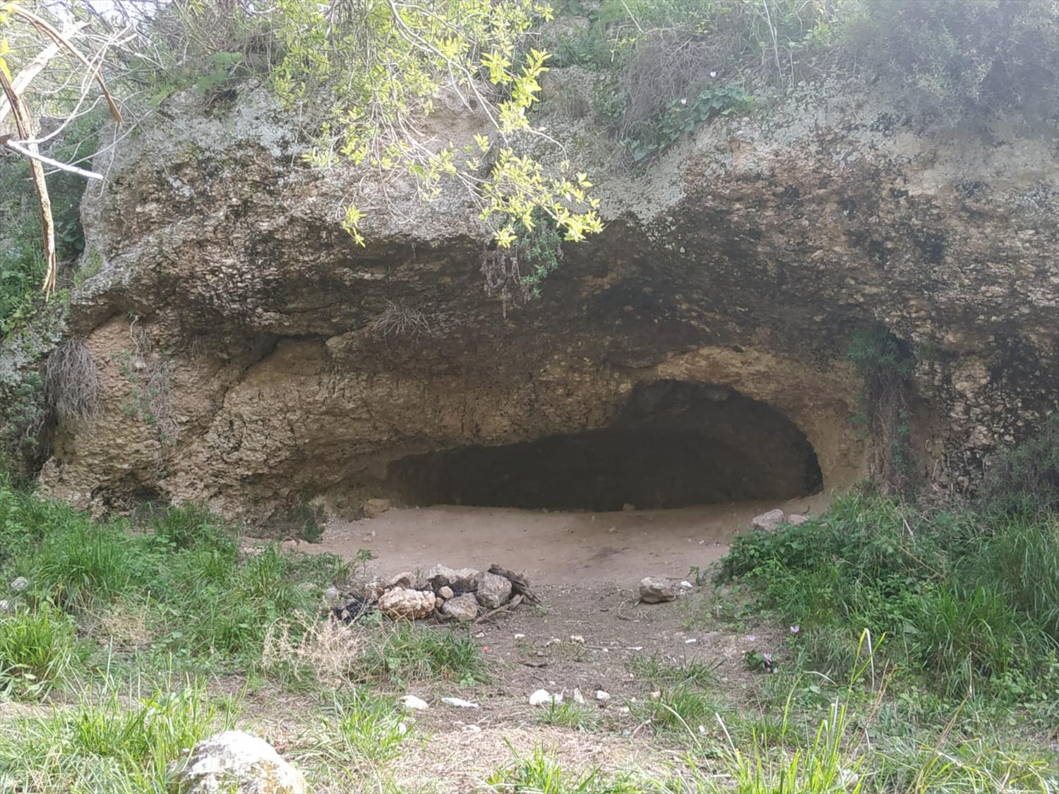 דוחות כספיים למשפחה