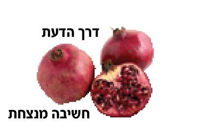 ליווי עסקי