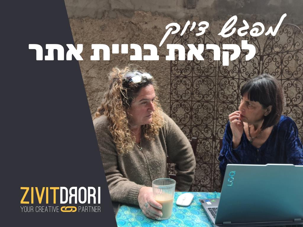 מפגש דיוק לקראת בניית אתר