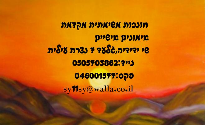 סדרת אימונים בהתאמה אישית