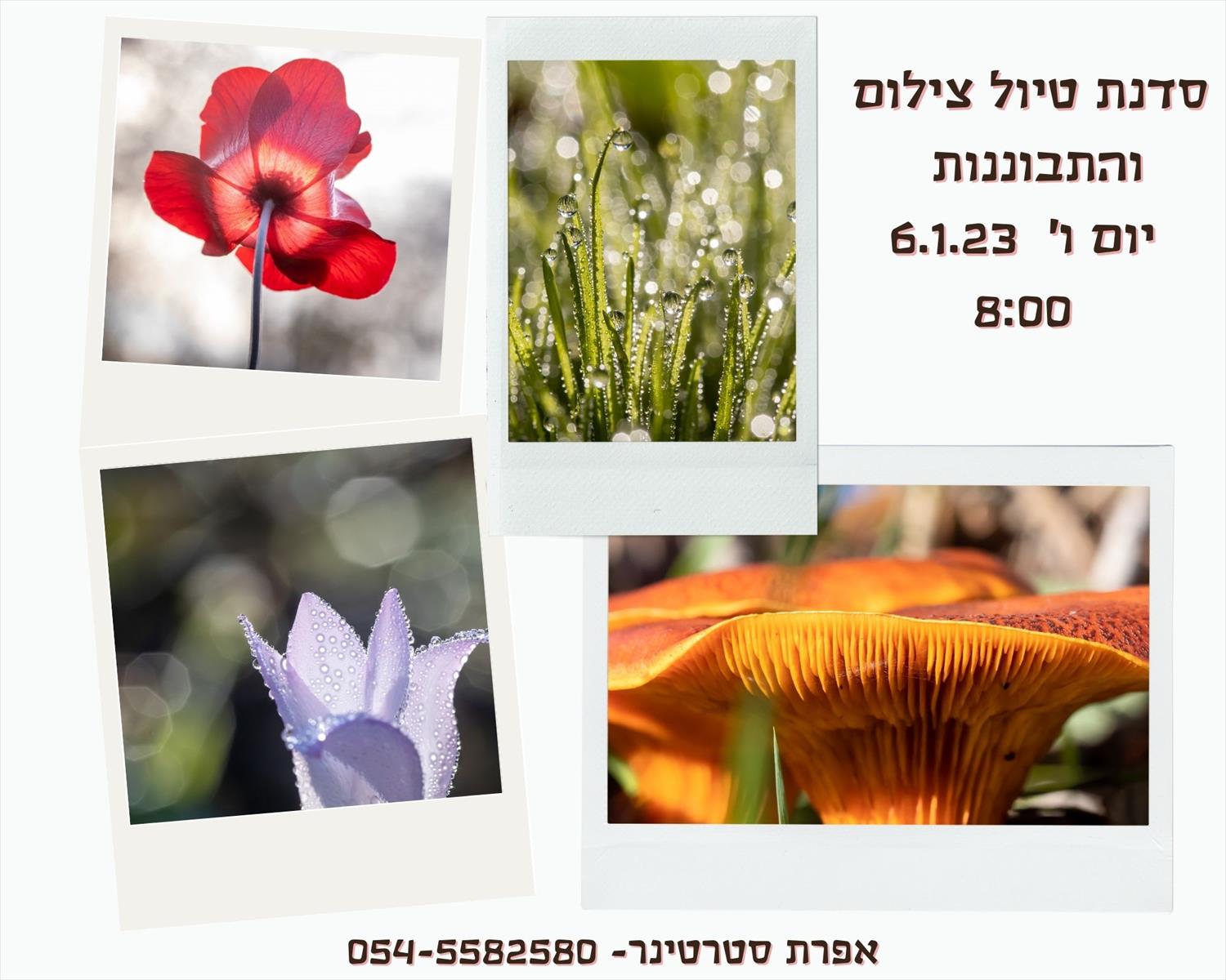 סדנת טיול צילום והתבוננות