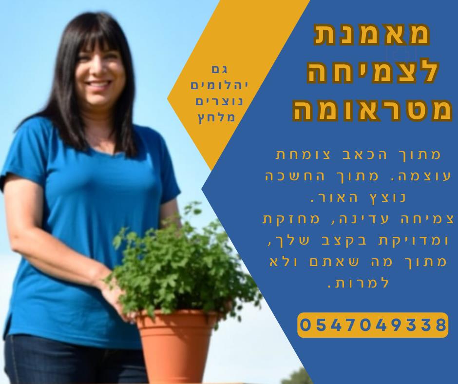 אימון לצמיחה מפוסטראומה