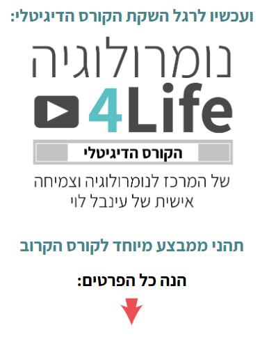 קורס יסודות הנומרולוגיה דיגיטאל