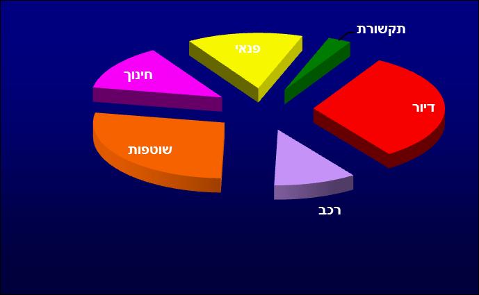עוגת הוצאות