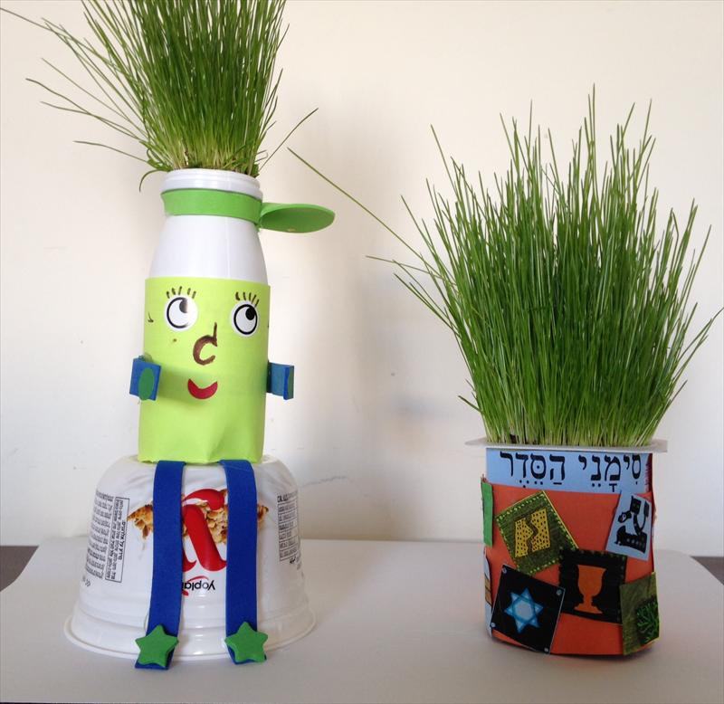 הכנת ראש דשא
