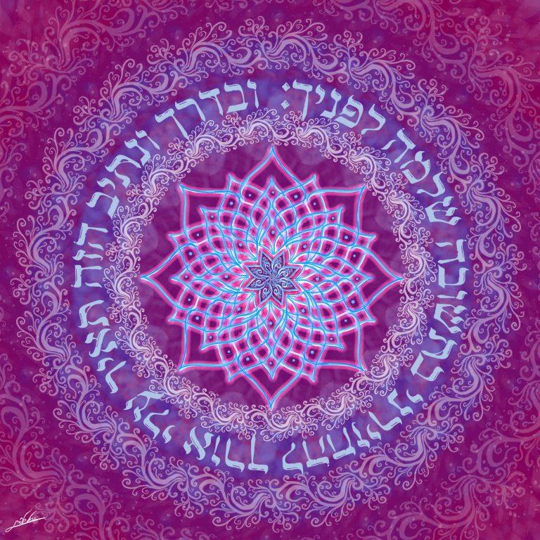 מוצרי יודאיקה