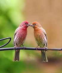 סדנת זוגיות מהנשמה: soul mates