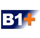 SAP Business One מסב