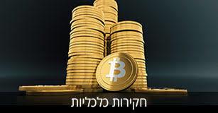 חקירות כלכליות מורכבות ומורחבות