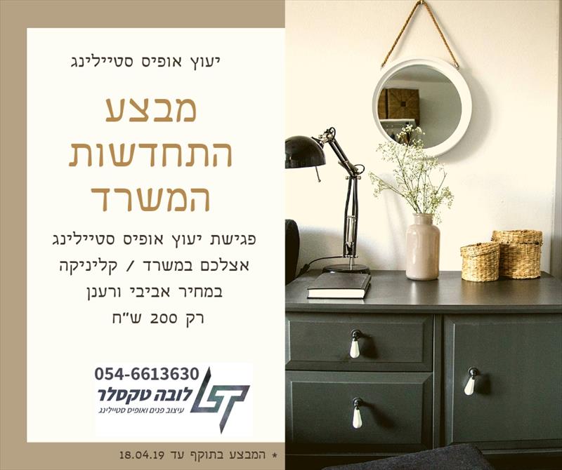 פגישת יעוץ עיצוב משרד לפסח