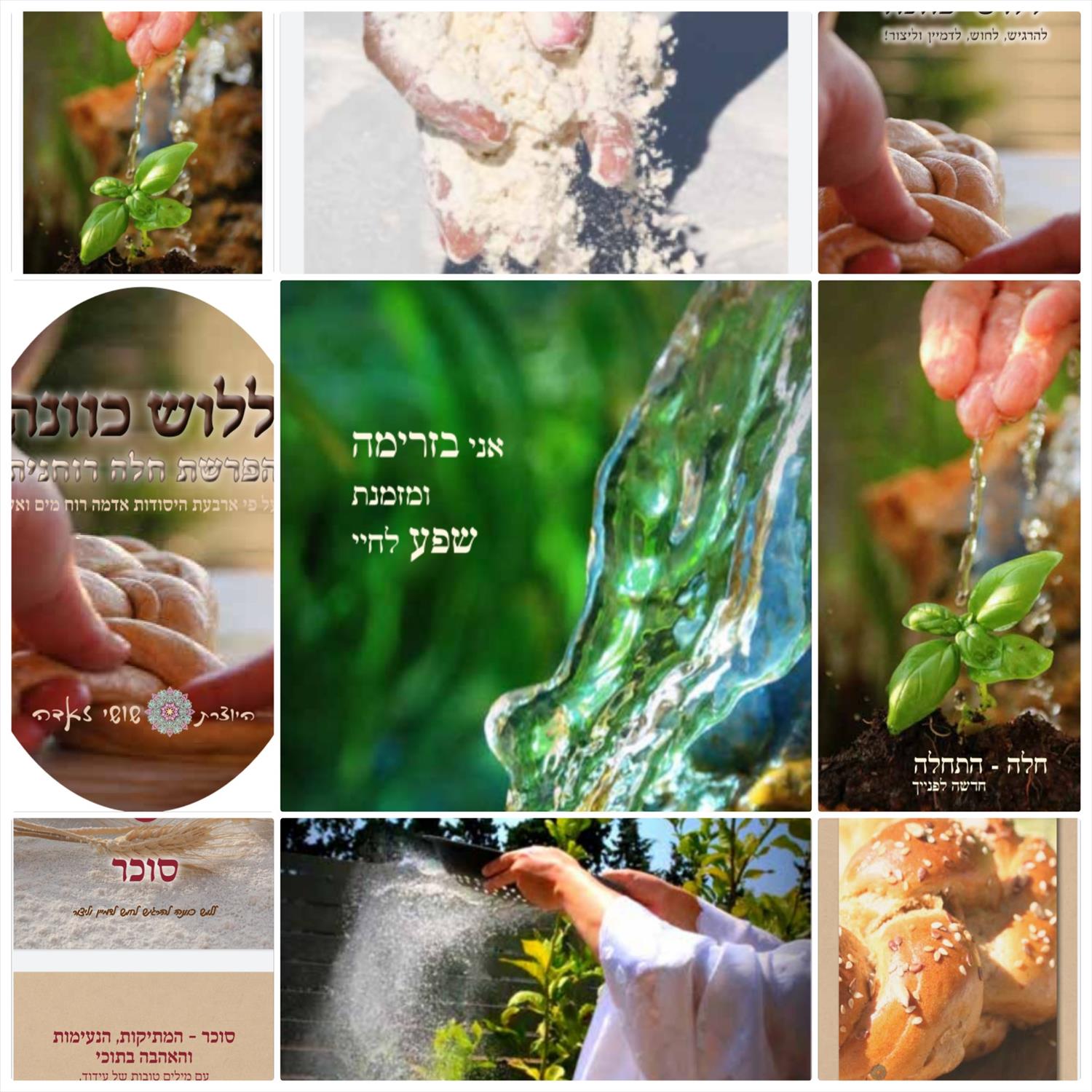 קלפי העצמה