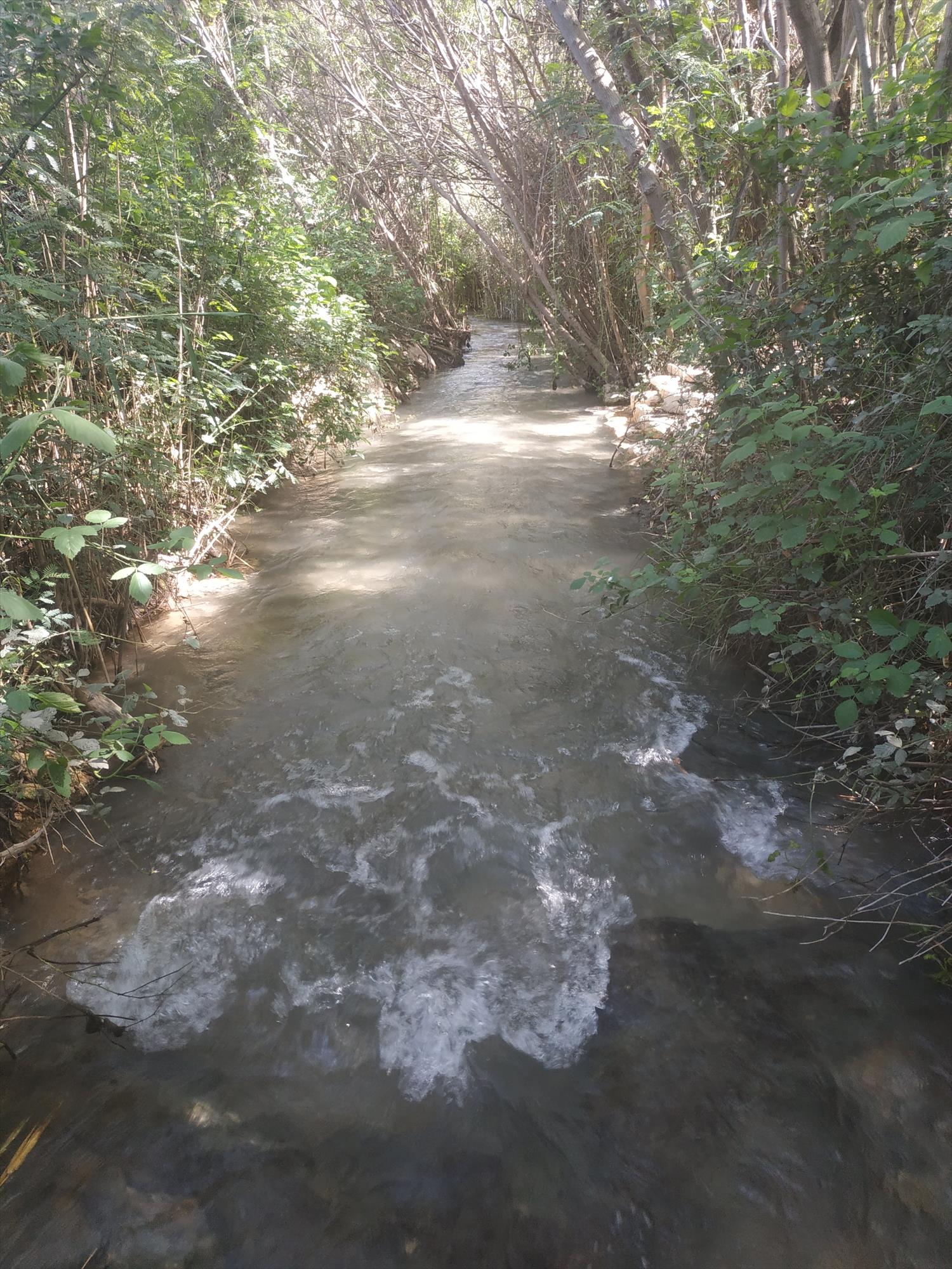 יום גיבוש בעמק המעיינות
